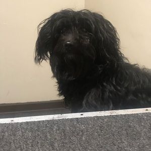 Meet your Posher, Bryan